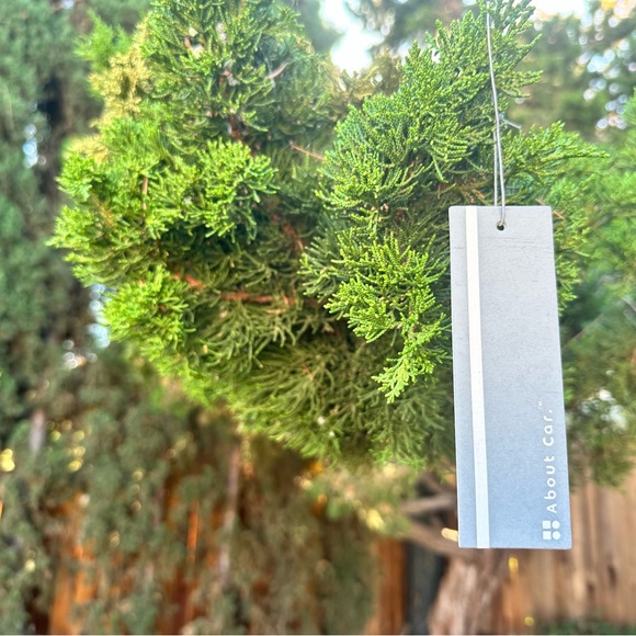 About Car Air Freshener | 6 Count (Pack of 1) | Leather Air - Picture 2 of 6